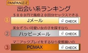 PANPAN認定出会い系ランキング3位「マニアックプレイをするなら変態揃いの」PCMAX