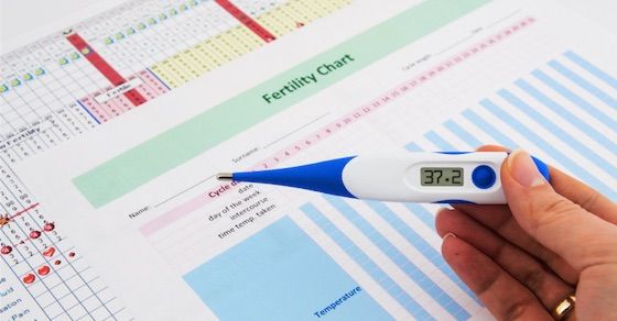 実際に妊娠した人がしたこと：基礎体温を記録する