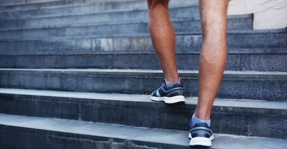 脚の鍛え方と得られるメリット：筋トレの質が向上する